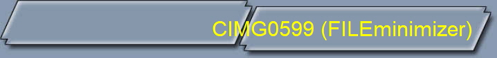 CIMG0599 (FILEminimizer)