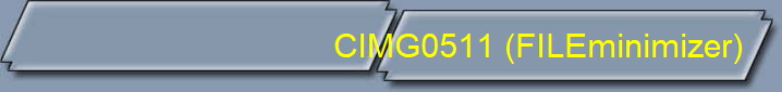 CIMG0511 (FILEminimizer)