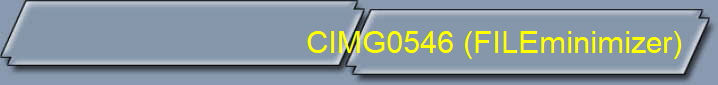 CIMG0546 (FILEminimizer)