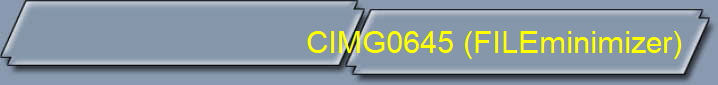 CIMG0645 (FILEminimizer)